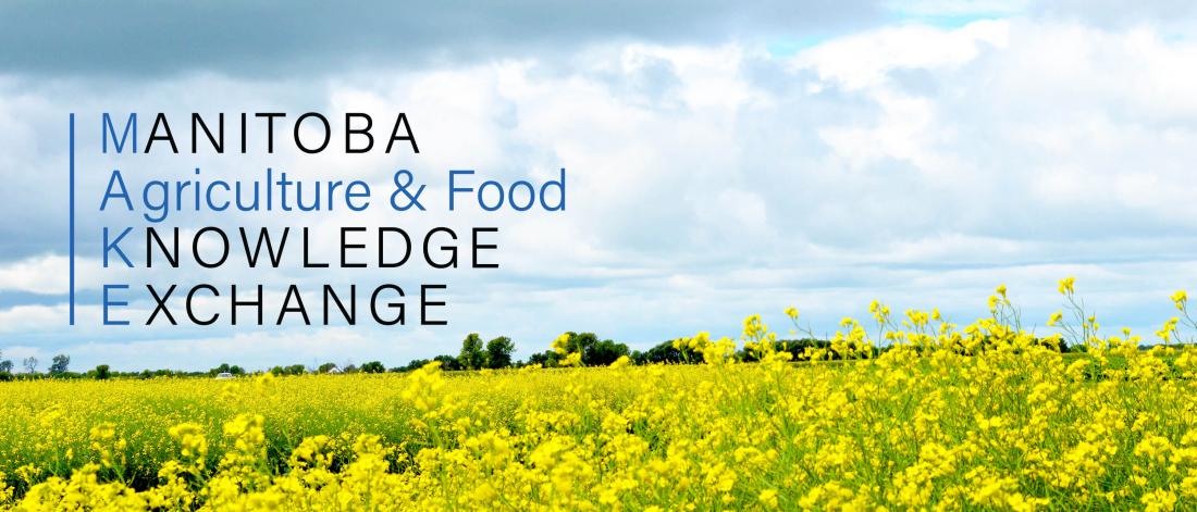Manitoba Agriculture and Food Knowledge Exchange logo over a canola field.