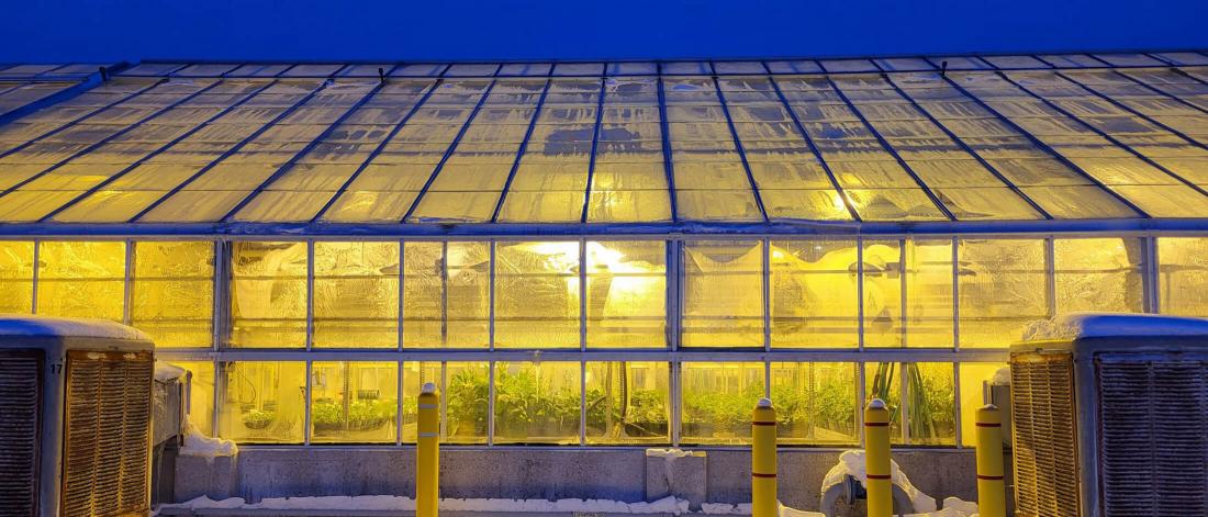 UofM greenhouse at night