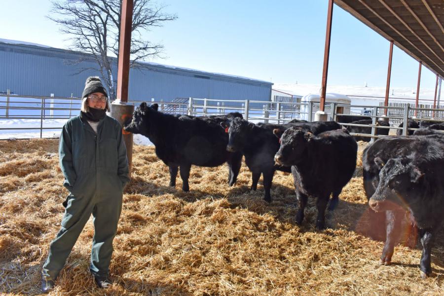 An agriculture graduate program student stands in an outdoor pen with some cattle. 