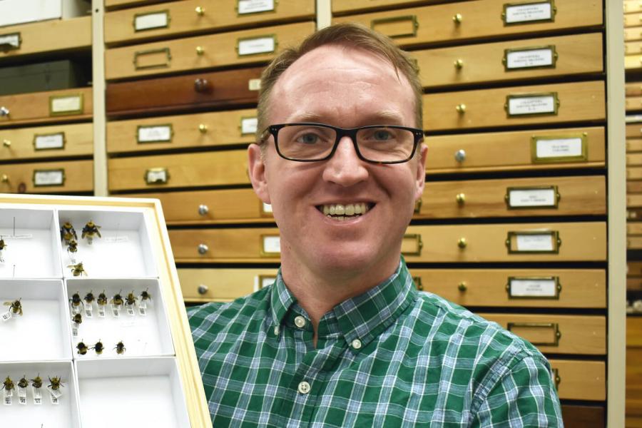 Jason Gibbs holding a display of pinned insects.
