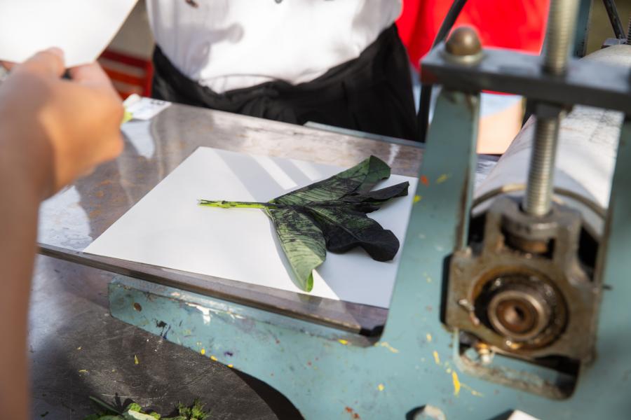 green leafy foliage covered in printing ink rest on a printing press.