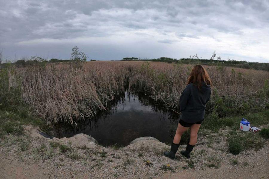 a researcher in rubber boots observing a wetland downstream.