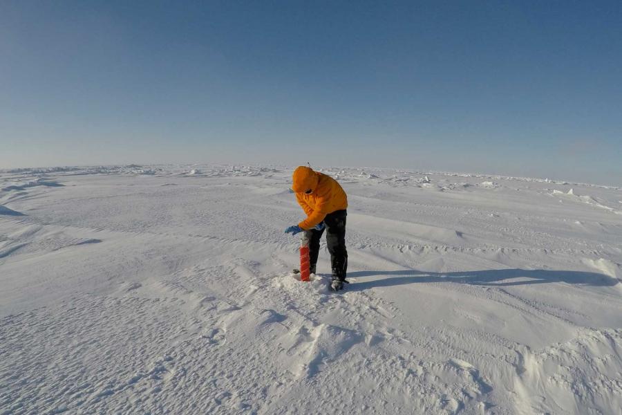 a researcher collecting ice cores.