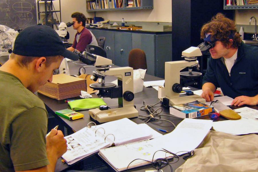 Faculty of environment students work in a lab.