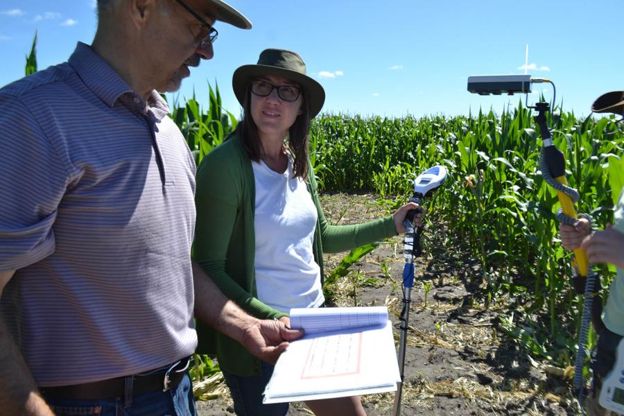 A professor and student use a measuring device in a field of corn.