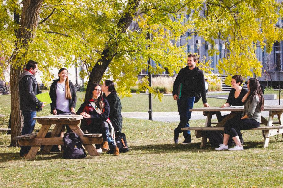 An image of a group of students sitting outside during summer, around some wooden benches, talking and laughing together.