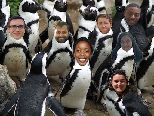 Penguins photoshopped with the faces of EGGSA members