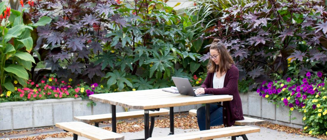  A student sits outdoors at a picnic table working on a laptop. 
