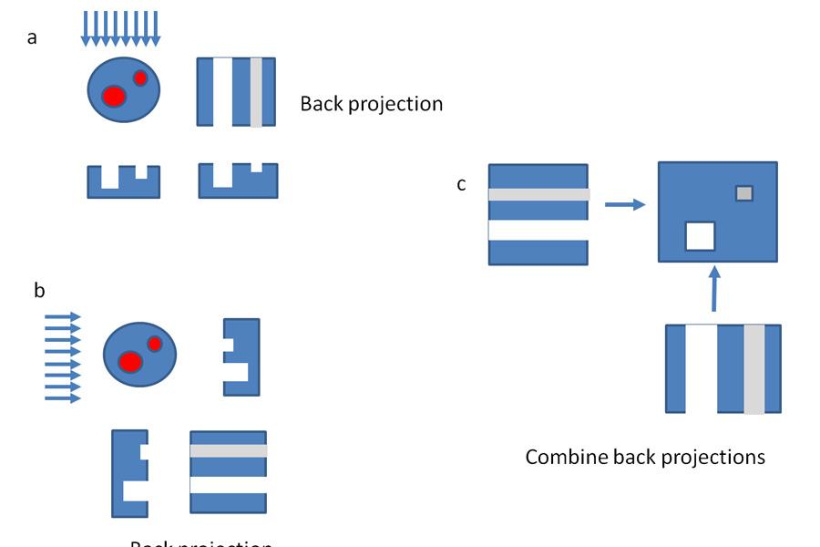 A complex graphic showing schematic illustrations of back projection.