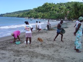 Women picking fish after beachseine haul