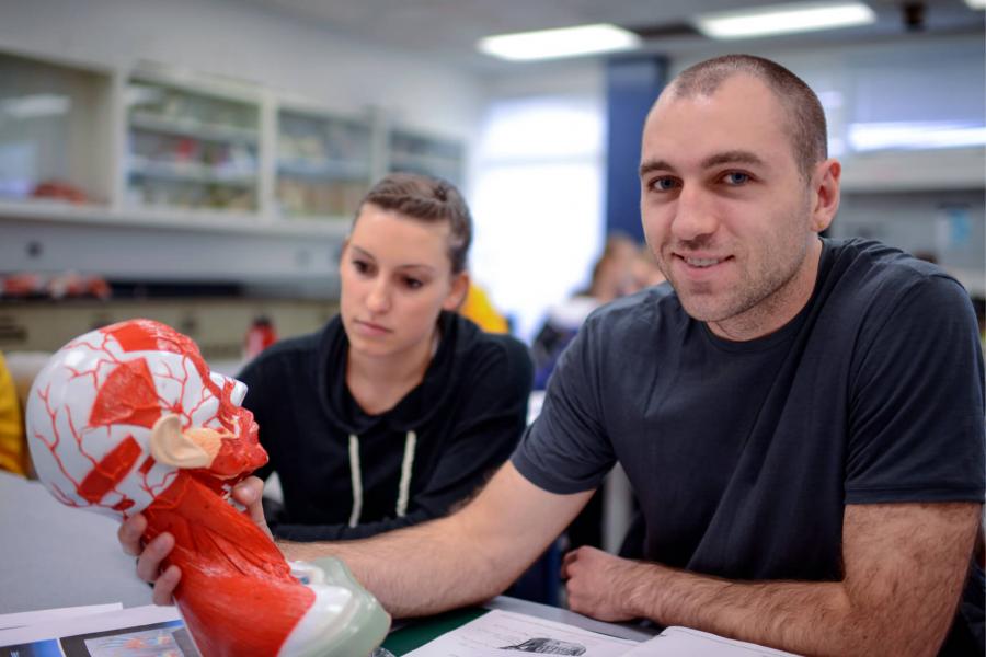 Two kinesiology students sit at a table together and study a model of the human head.