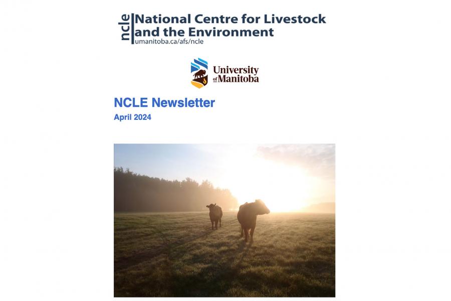 Newsletter cover Spring 2024 - 2 cows in a field during sun rise