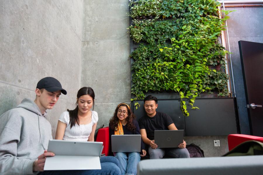 Four students studying together in a student lounge area with a large green living wall behind them.