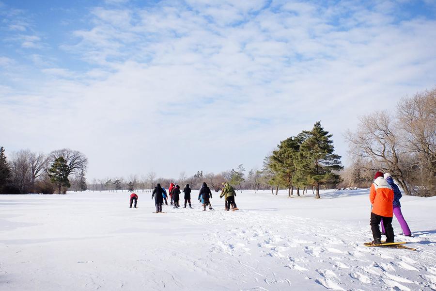 A group of people participate in the Jack Frost Challenge by snowshoeing in an open area at the University of Manitoba Fort Garry campus.