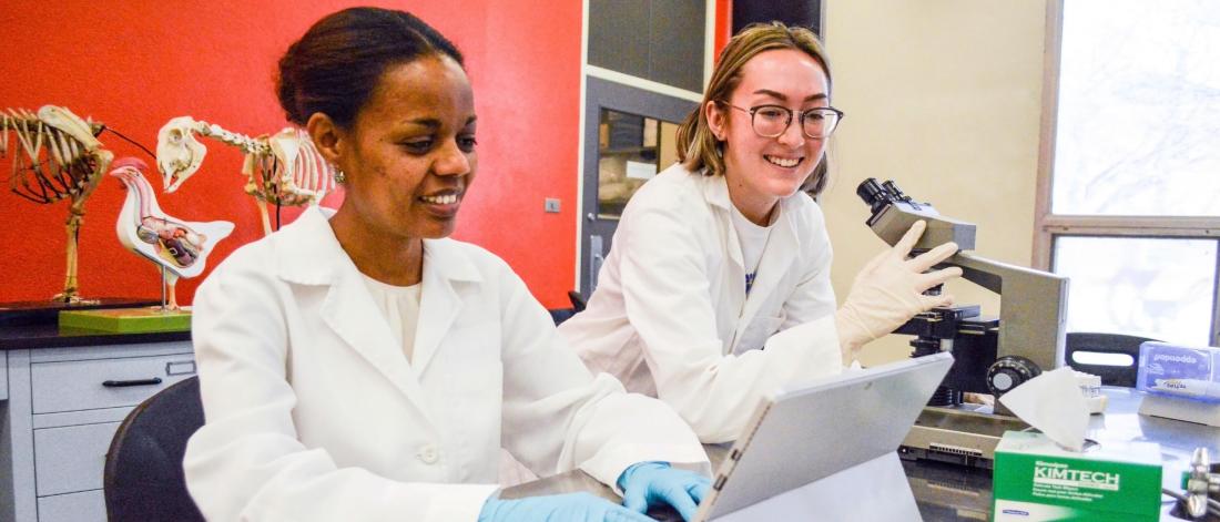 Two students sit at a desk beside each other, one using a laptop, the other a microscope. 