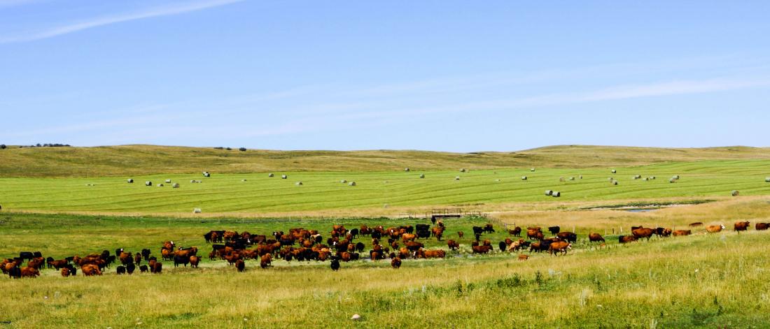 Sustainability of Canadian Agriculture Virtual Conference 2022