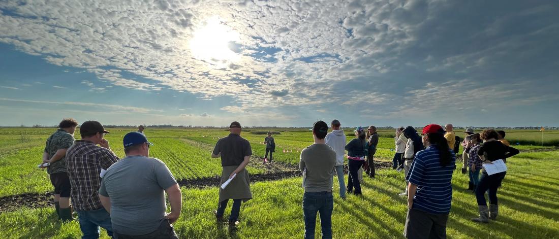 A group of people listen to a researcher in a field, with the sun setting behind them.