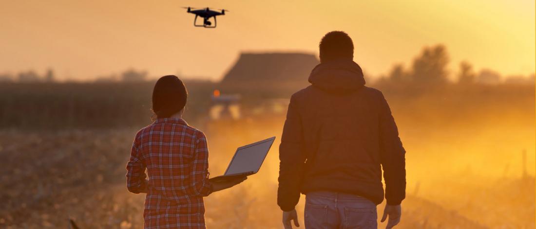 two people in a field watch a drone at dawn