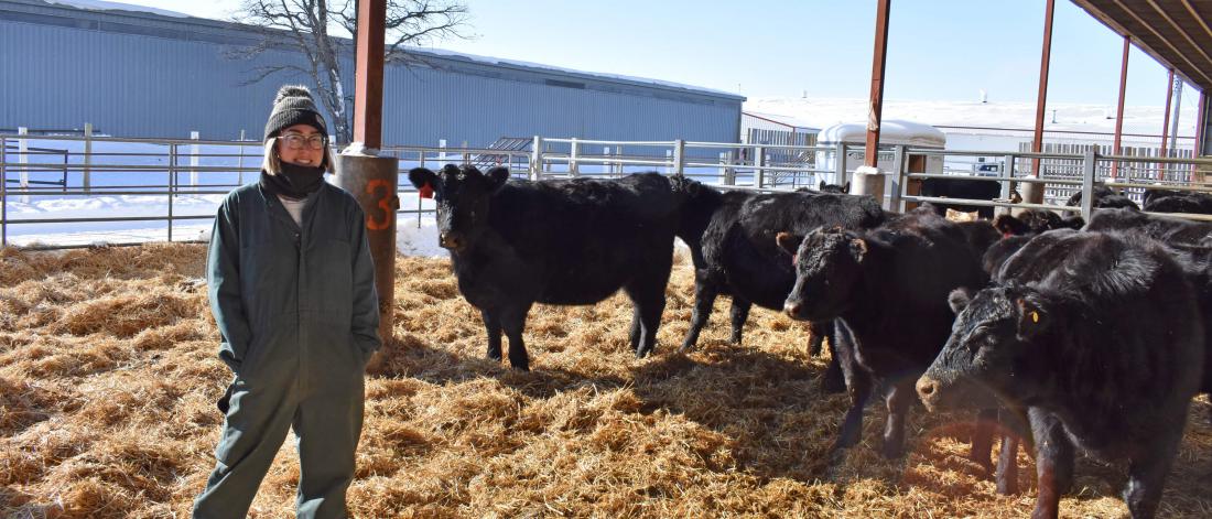 A woman in coveralls stands in a pen with black cattle.