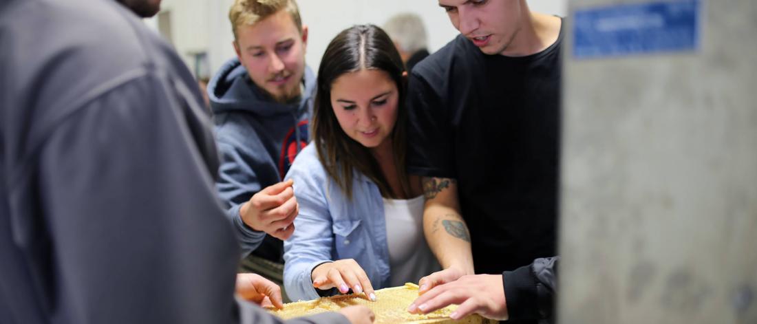 3 students examine bees while another holds the hive