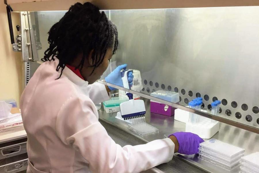 Graduate student working in the laboratory.