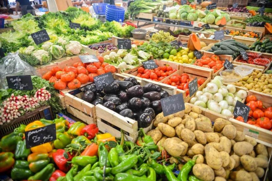 Table of produce with many colored fresh vegetables.
