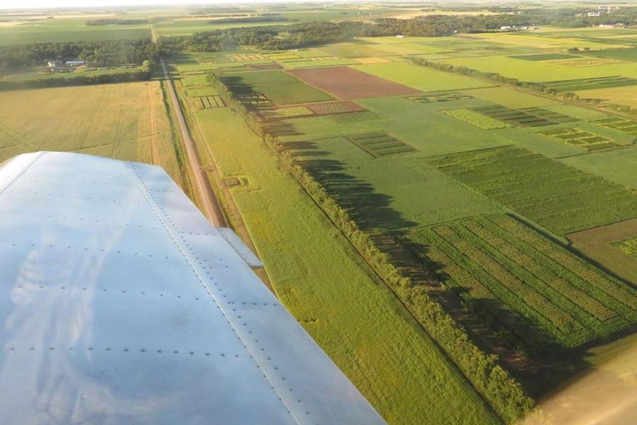 Airplane flying over Manitoba farm fields.