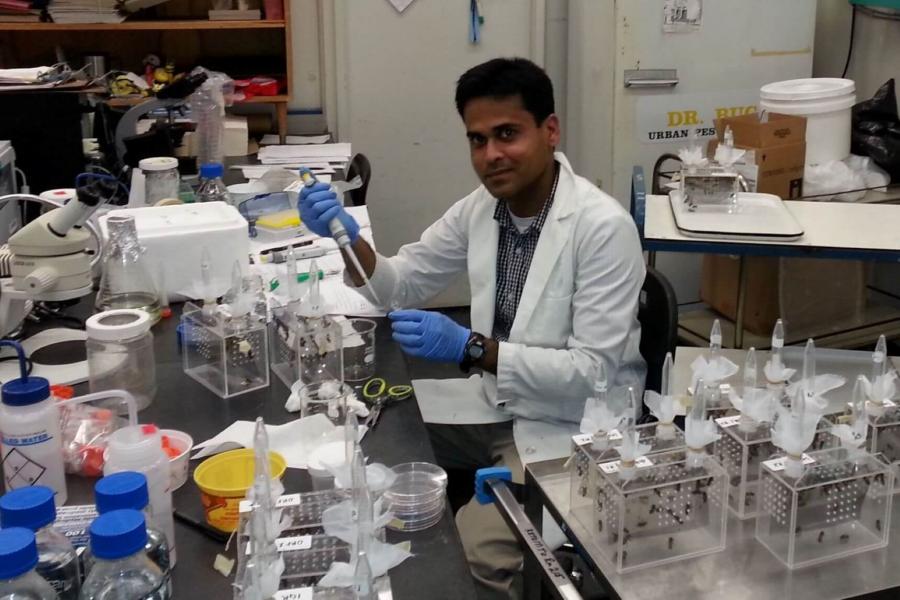 Student working in the lab.