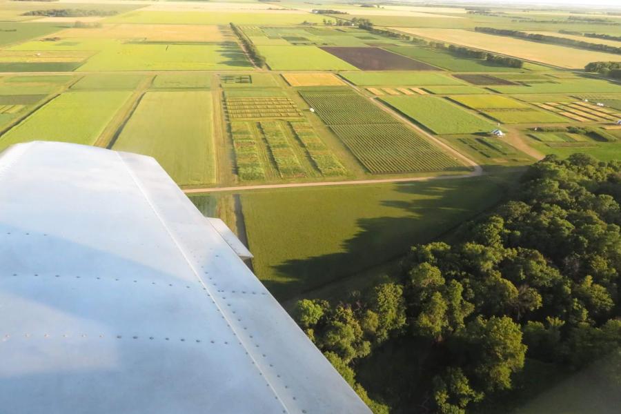 Arial view of the PFP plots in Carman Manitoba