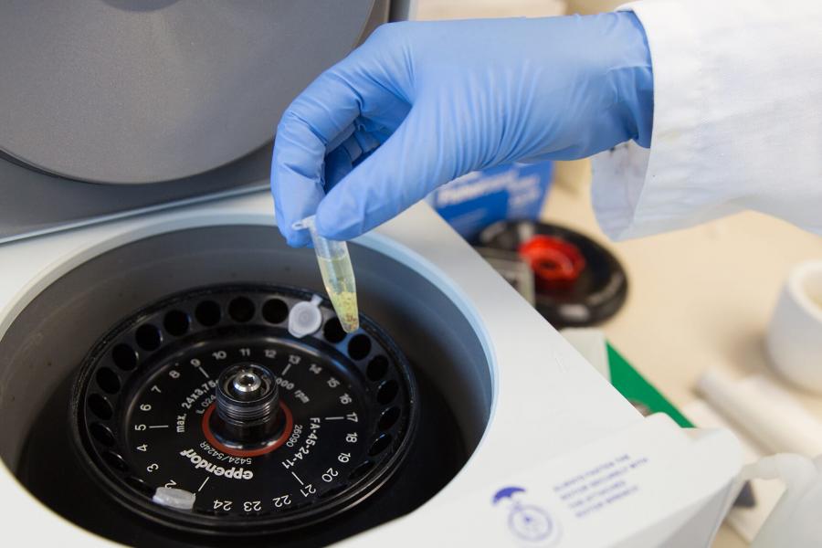 Lab technician puts sample in centrifuge.