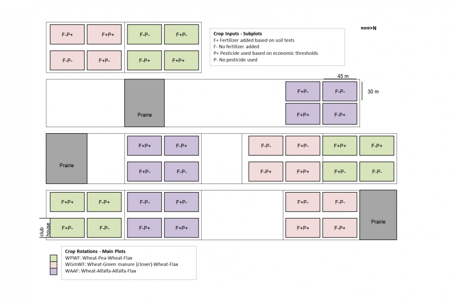 Original layout of the plots with three rotations at the Glenlea long-term rotation