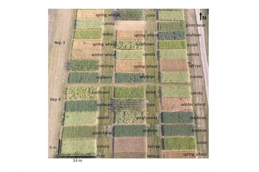 Arial view of part the study and the crops growing are labelled beside the rectangle of the plot.