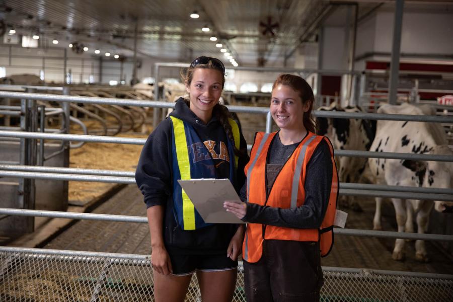 Two people working in a cattle facility smiling at the camera.
