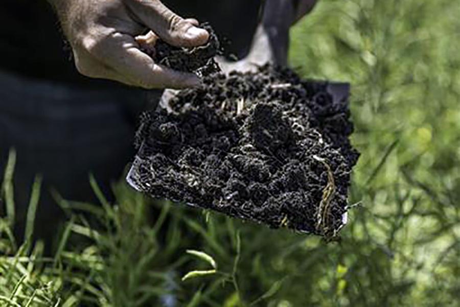 Hand digging in soil with small shovel