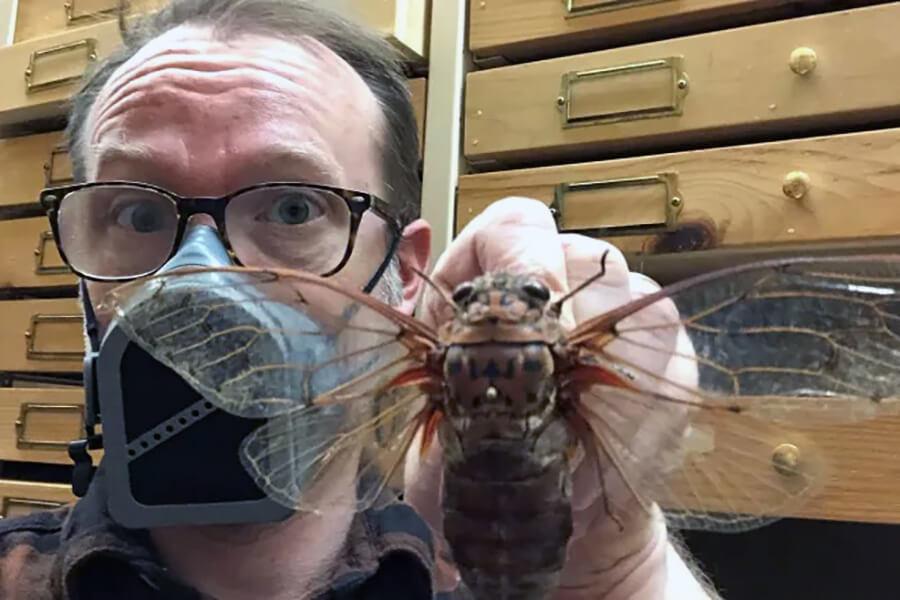Jason Gibbs - holding a large Cicada from Malaysia