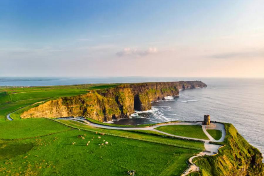 Ireland green fields cliffs and sheep