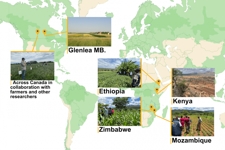 Where the natural systems agriculture research group has active projects