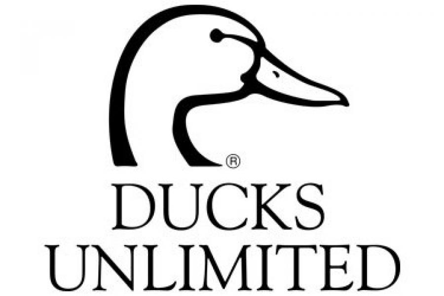 Ducks unlimited.