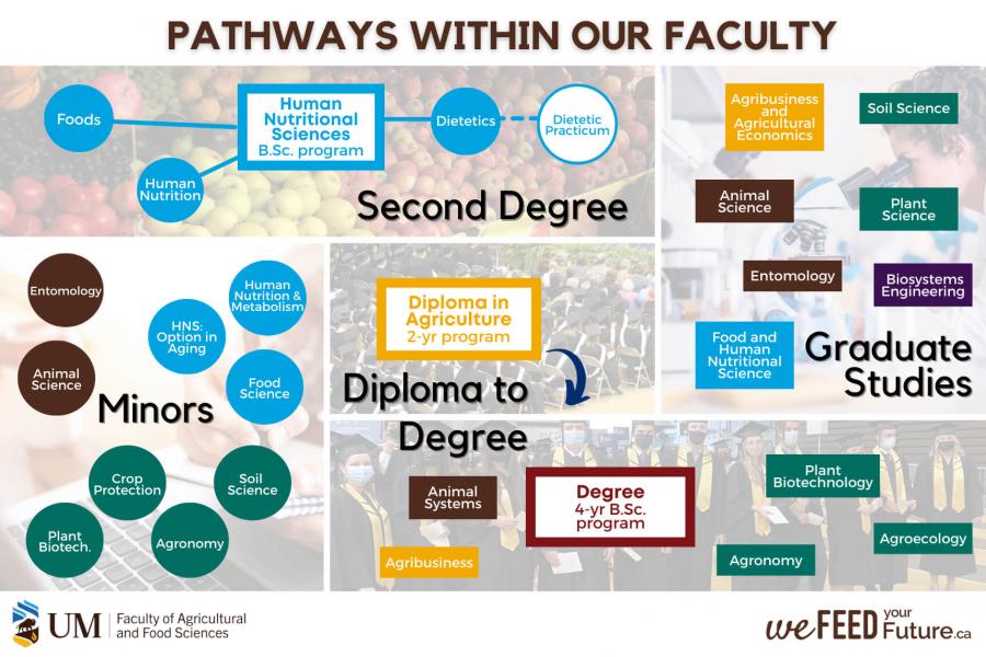 Visual guide to pathways in the faculty