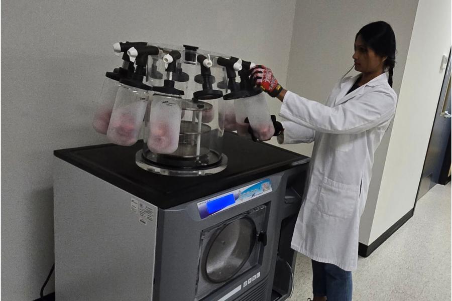 Techician operating Freeze dryer