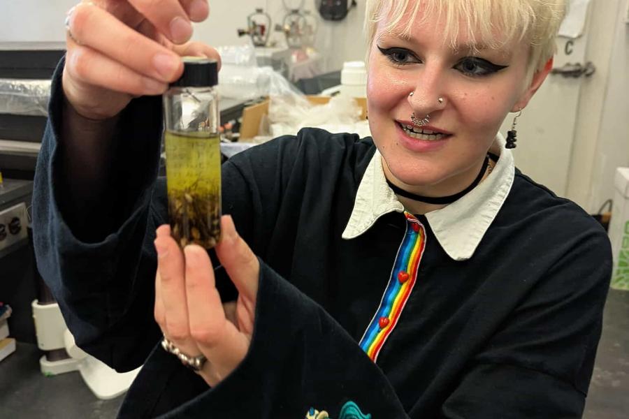 A picture of a student observing a substance in a test tube.