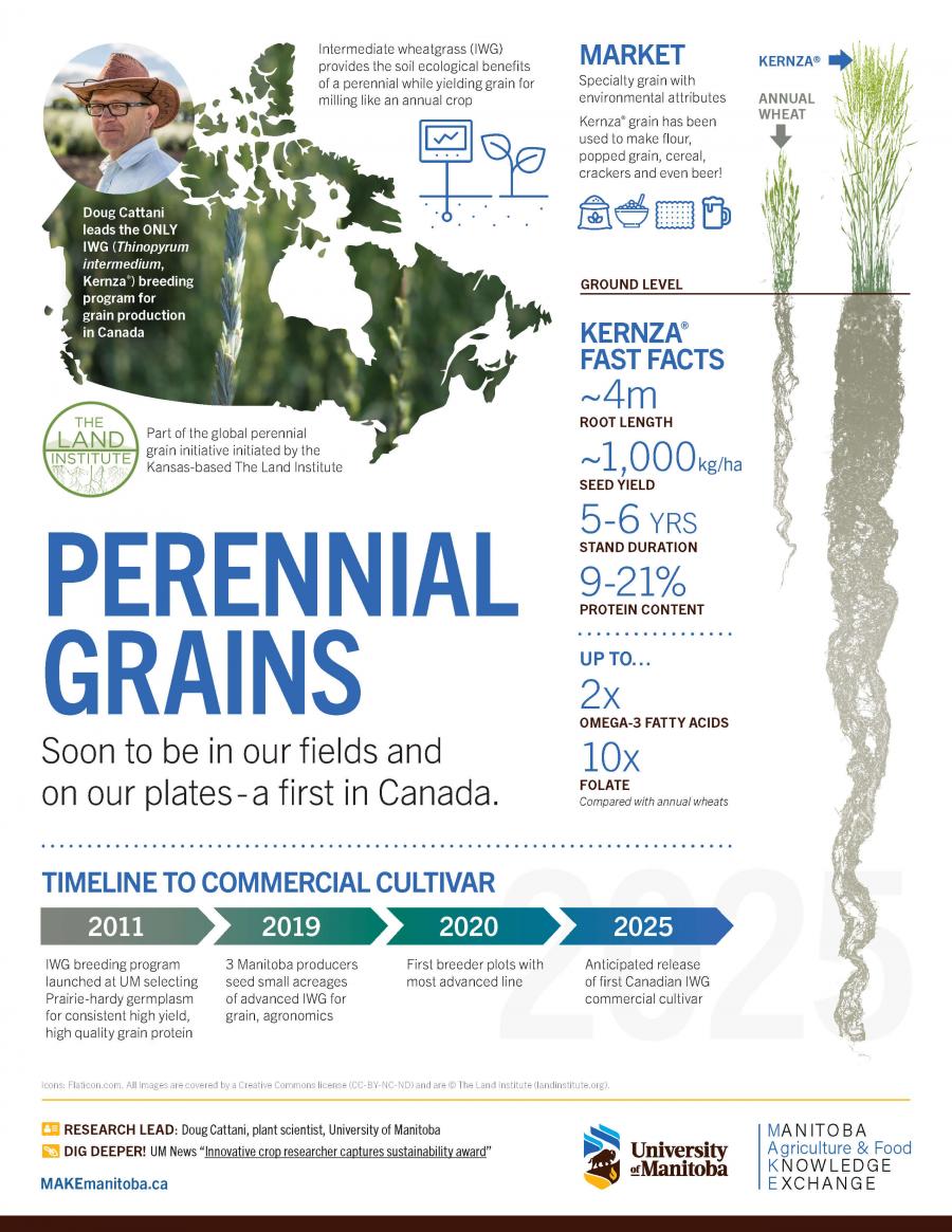 MAKE Perennial Grains Infographic
