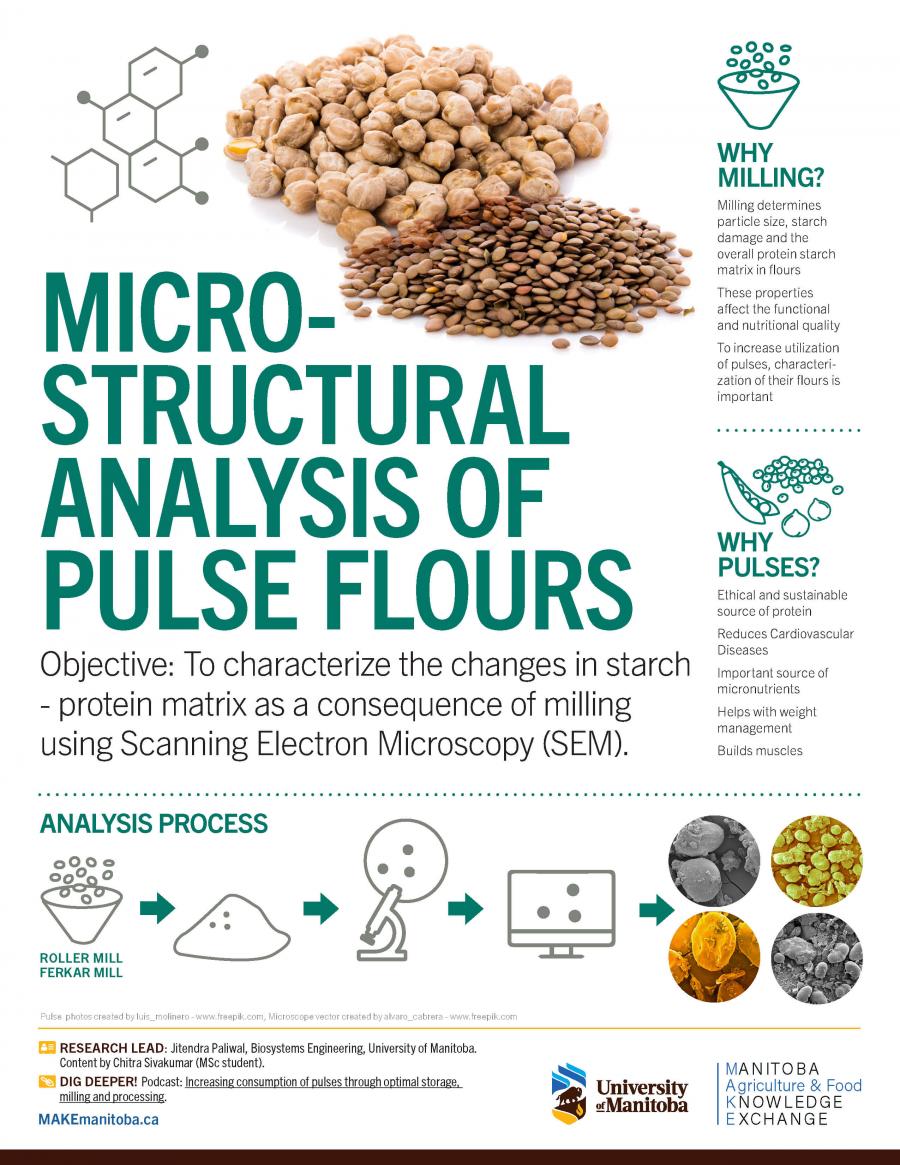 MAKE Pulse Milling Infographic