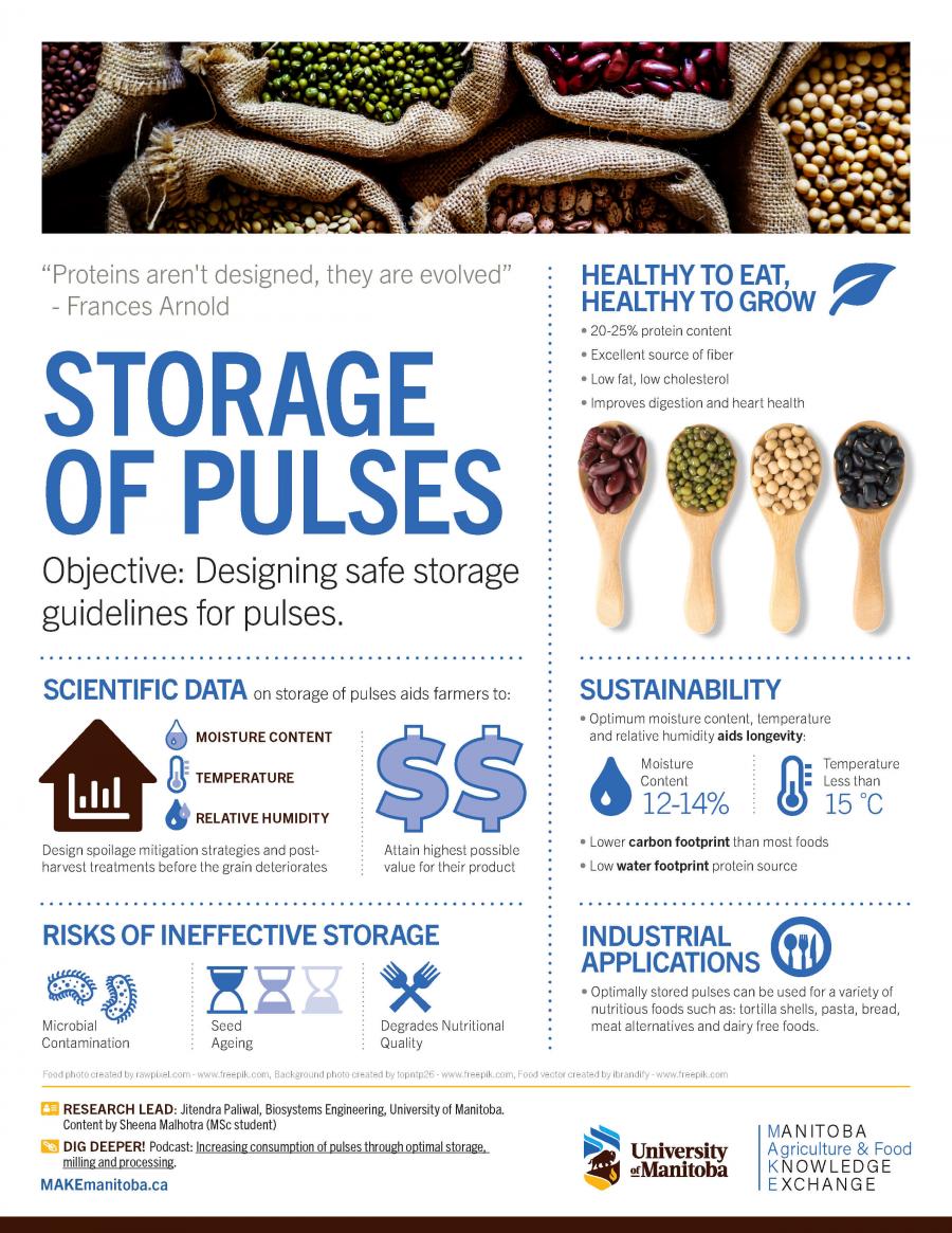 MAKE Pulse Storage Infographic