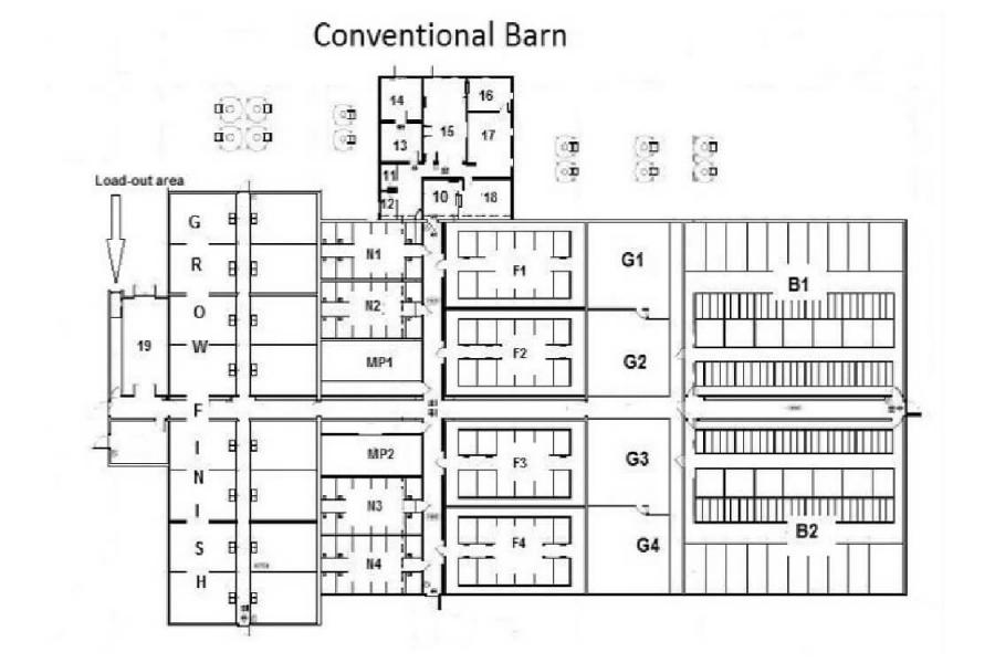 conventional swine barn layout
