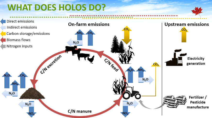 An inforgraphic of how the Holos farm models carbon emissions from farms