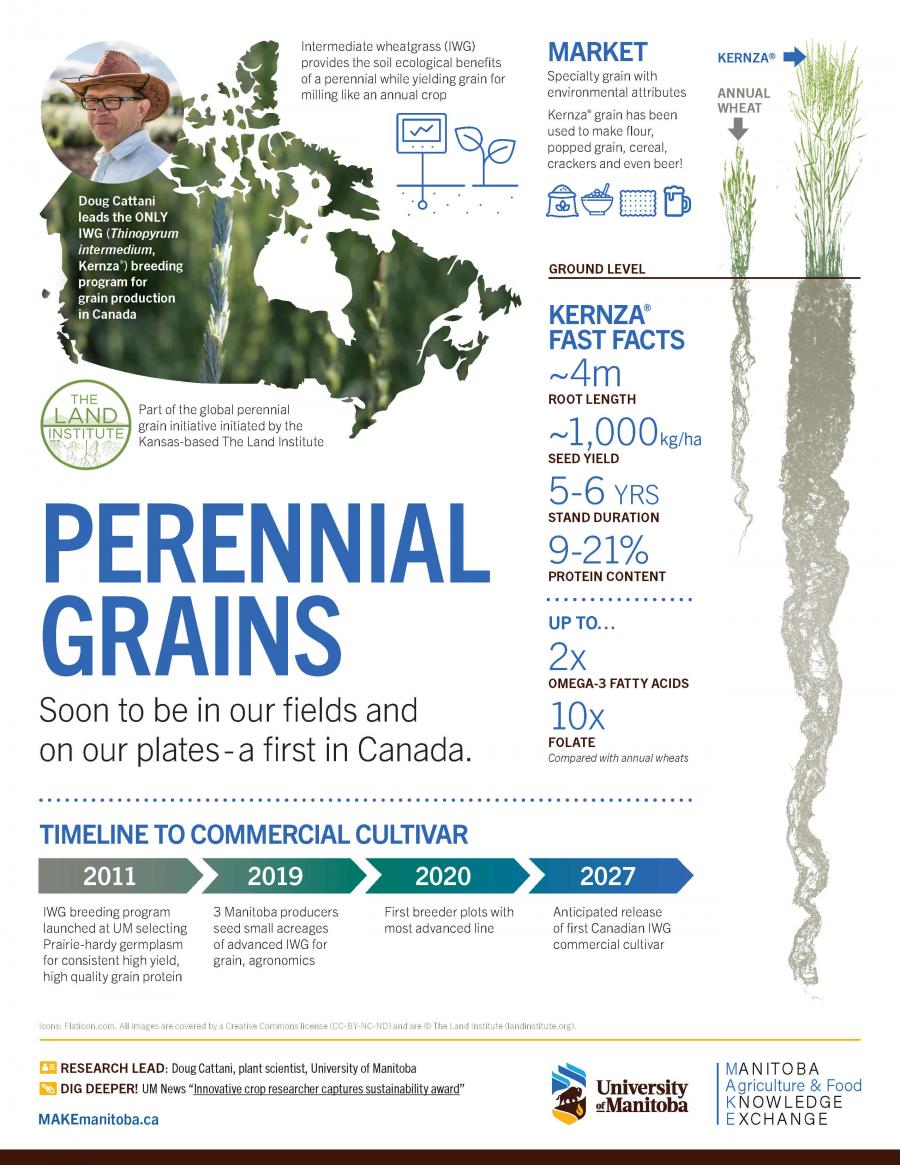 Perennial Grains project thumbnail