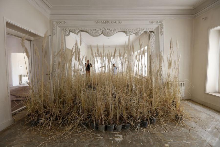 over grown grass inside a building