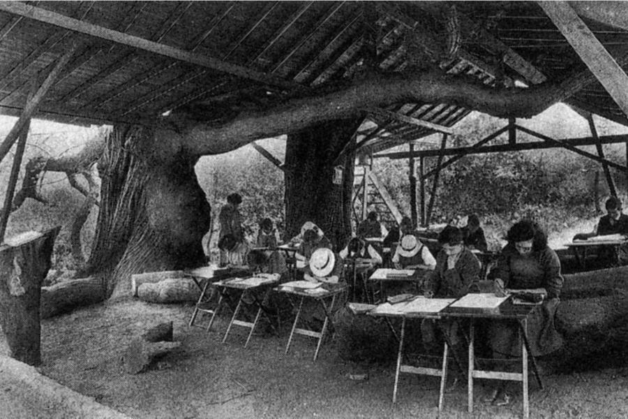 people sitting at desks under a tree structure