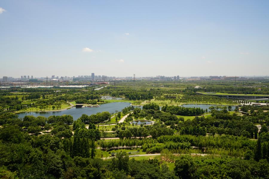 Panorama View_Chenshan Botanic Garden